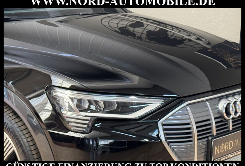 Audi e-tron e-tron 50 QU.Advanced Kamera/Pano/Matrix/21/