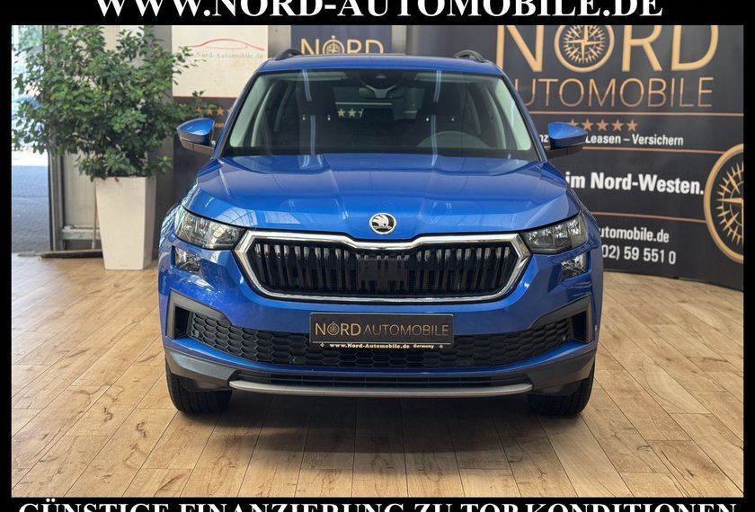 Skoda Kodiaq Kodiaq Ambition 2.0 TDI DSG 7-Sitzer/Pano/Virt.C