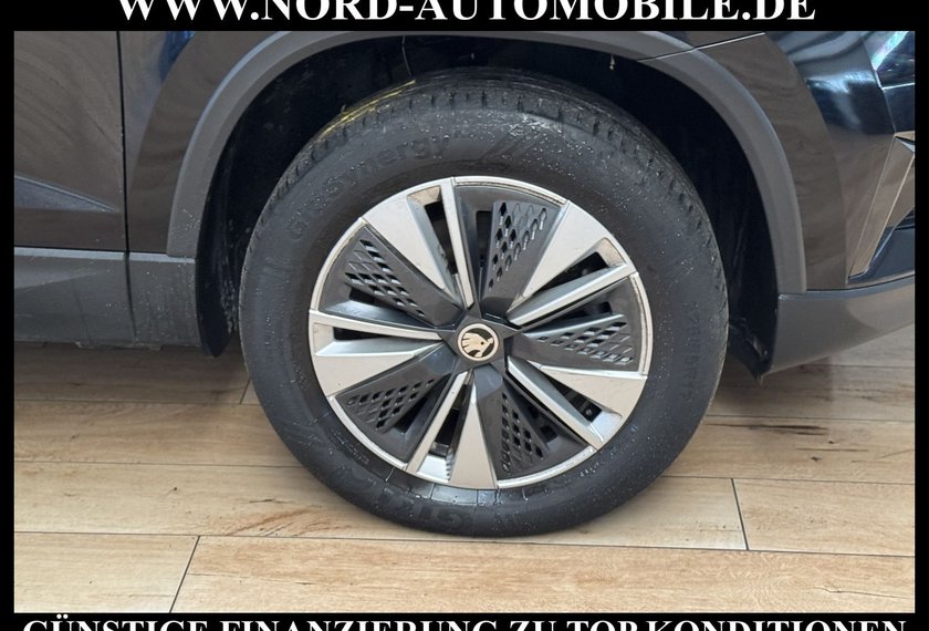 Skoda Karoq Karoq Ambition 2.0 TDI DSG Kamera/Virt.Cockpit/