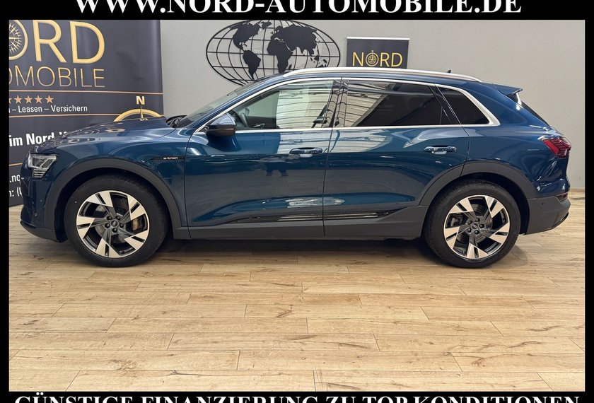 Audi e-tron e-tron qu. Automatik Teilleder/Kamera/20