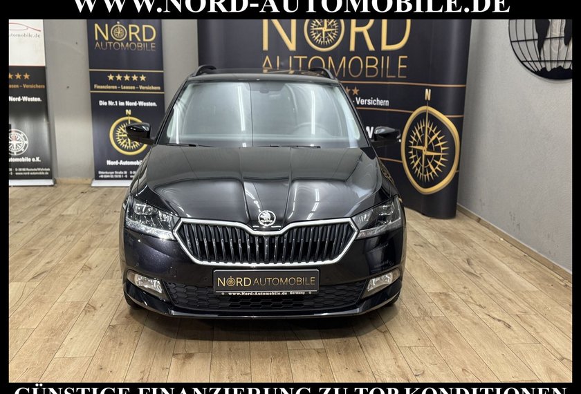 Skoda Fabia Fabia Combi Ambition 1.0 TSI DSG Navi/LED/SHZ/16
