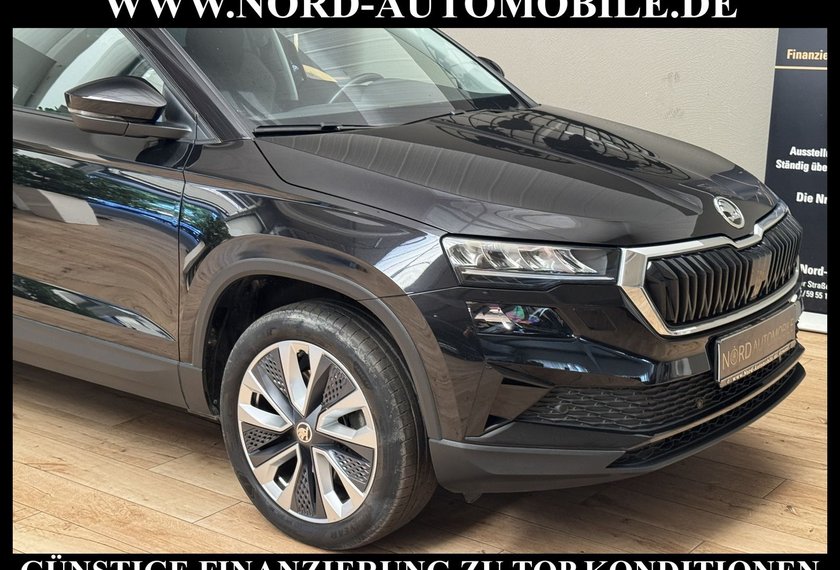 Skoda Karoq Karoq Style 2.0 TDI DSG Virt.Cockpit/Kamera/18