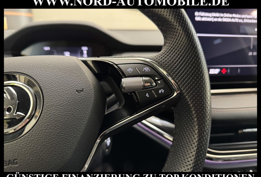 Skoda Enyaq Enyaq iV 60 Suite Wärmepumpe/Matrix/21/Leder/