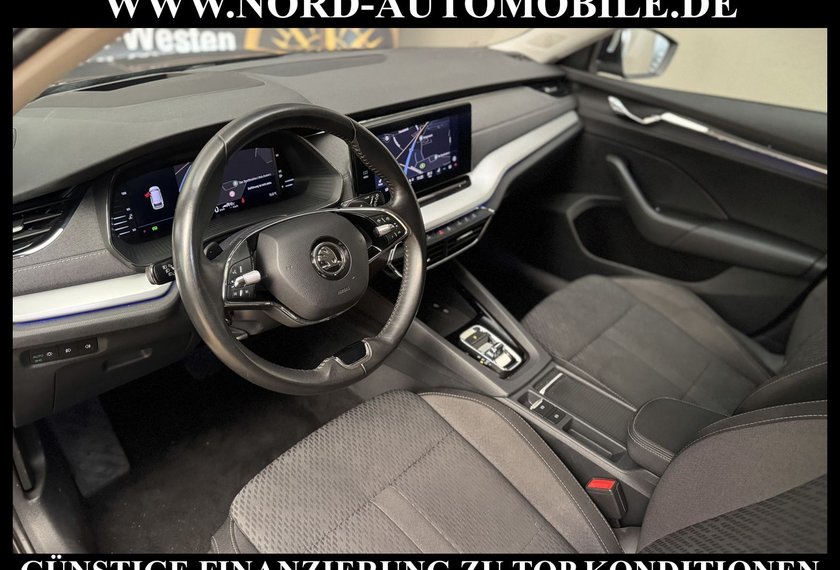 Skoda Octavia Octavia Combi Style 2.0 TDI DSG AHK/Kamera/Navi/