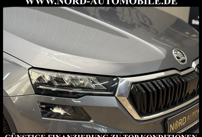 Skoda Karoq Karoq Ambition 2.0 TDI DSG Virt.Cockpit/Kamera/