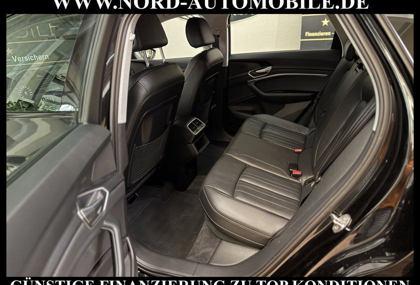 Audi e-tron e-tron 50 QU. S-Line Leder/Navi/LED/21/