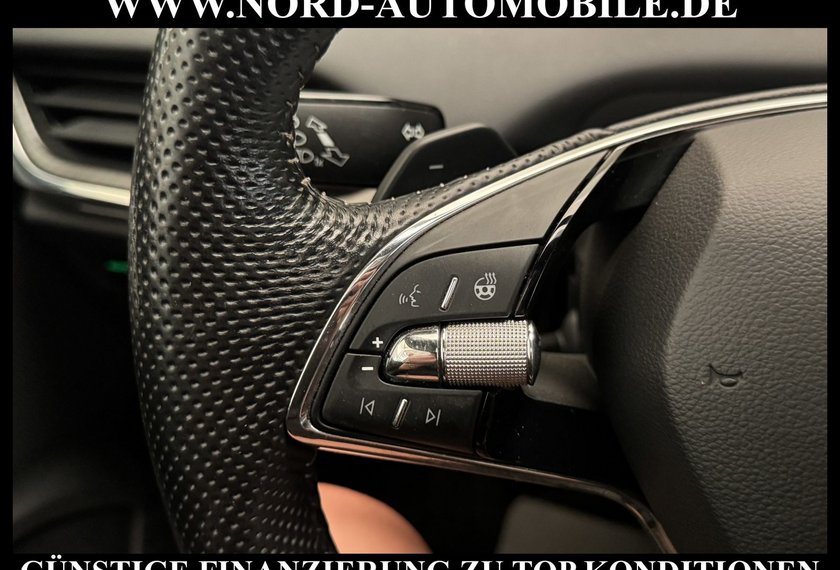 Skoda Enyaq Enyaq Coupé RS Leder/Pano/HeadUp/Wärmepumpe/21