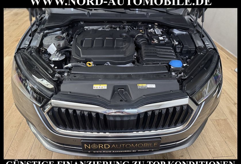 Skoda Octavia Octavia Combi Style 2.0 TDI DSG Leder/Head-Up/18
