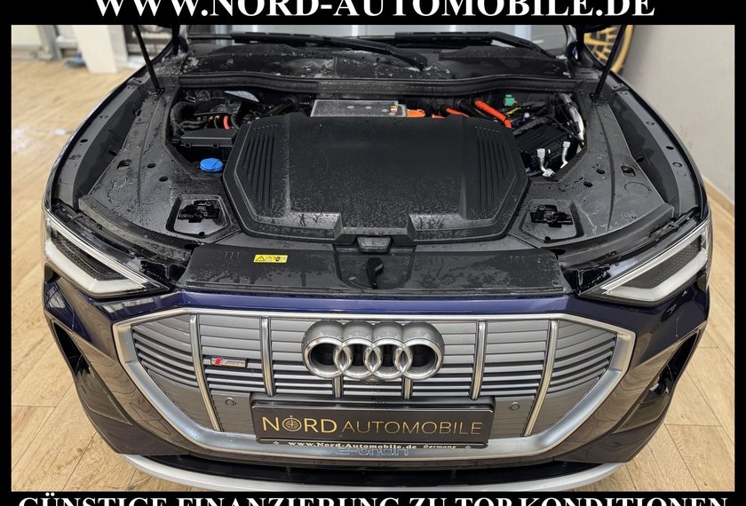 Audi e-tron e-tron 50 Sportback S-Line Pano/HeadUp/Matrix/21