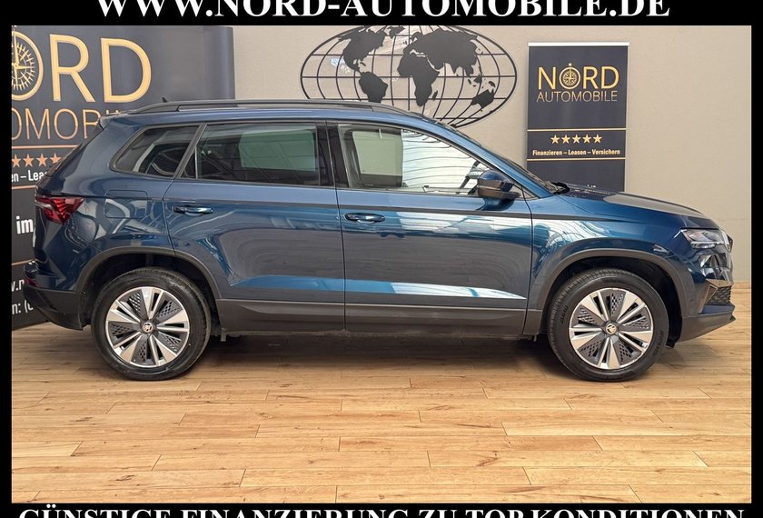 Skoda Karoq Karoq Business 2.0 TDI DSG Virt.Cockpit/Kamera/