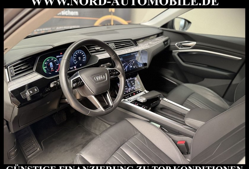 Audi e-tron e-tron 55 QU.Advanced Kamera/ACC/21/B&amp;O