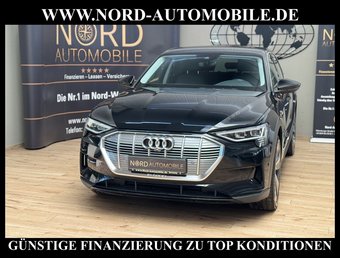 Audi e-tron e-tron 55 QU.Leder/AHK/Side&amp;Lane/LED/21
