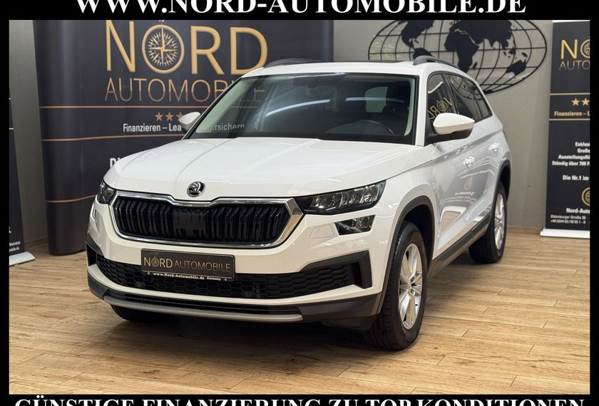 Skoda Kodiaq Kodiaq 2.0 TDI Ambition 4x4 DSG StHz/Pano/LED/