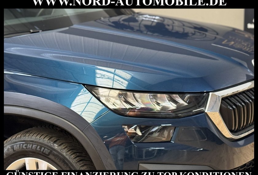 Skoda Kodiaq Kodiaq 2.0 TDI DSG Ambition 7-Sitzer/Kamera/Navi