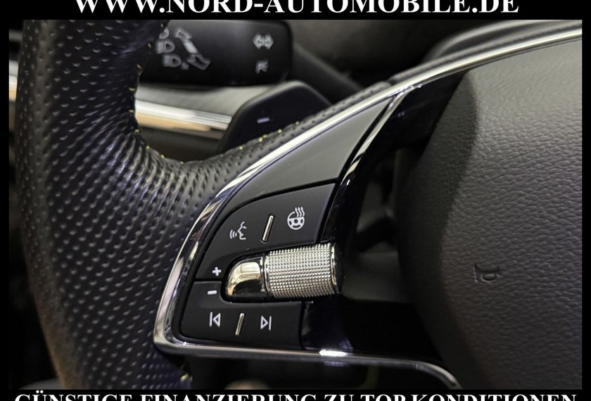 Skoda Enyaq Enyaq iV Coupe RS Pano/Kamera/Navi/LED/20