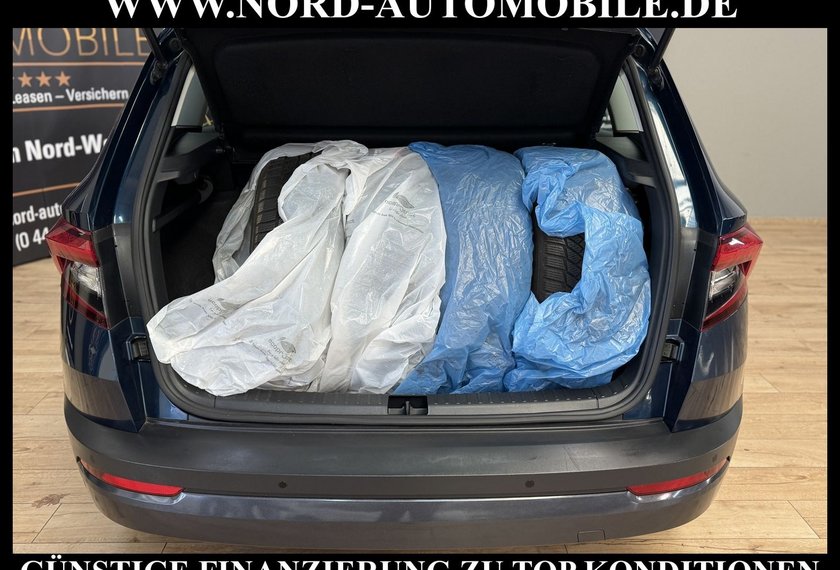 Skoda Karoq Karoq Ambition 2.0 TDI DSG Navi/PDC/SHZ/17