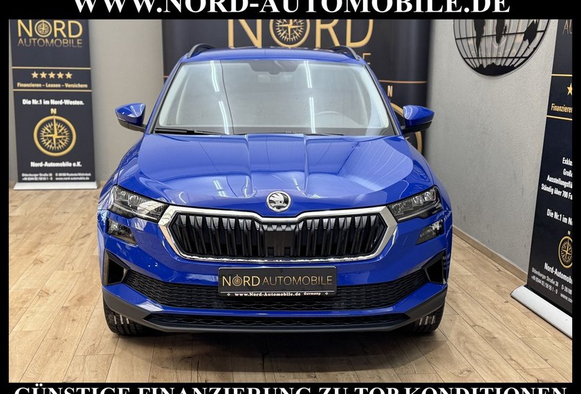 Skoda Karoq Karoq Ambition 2.0 TDI DSG Virt.Cockpit/Kamera