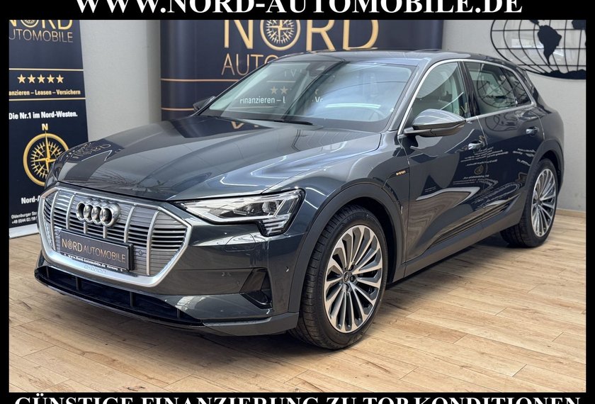 Audi e-tron e-tron 50 QU.Leder/Kamera/AHK/Panorama/21
