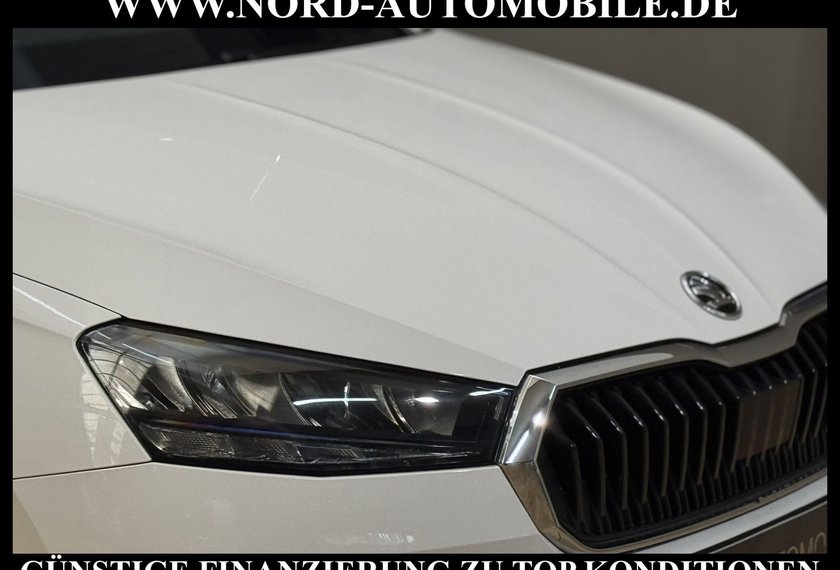 Skoda Fabia Fabia Active 1.0 MPI LED/Klima/SHZ/