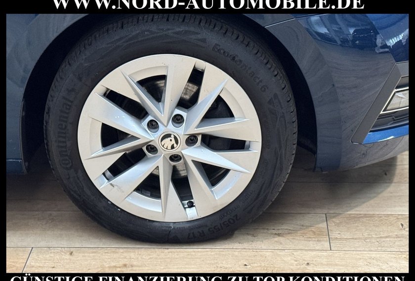 Skoda Octavia Octavia Combi 2.0 TDI DSG Style LEDER*AHK*MATRIX