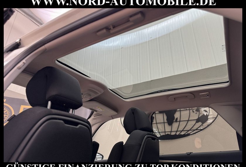 Citroën C4 Picasso C4 Picasso Spacetourer SELECTION *PANO*17Z*NAVI