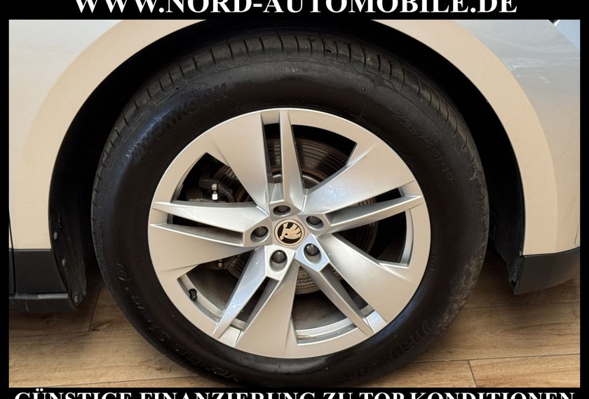 Skoda Enyaq Enyaq iV 60 Loft Teilleder/Navi/AHK/PDC/19