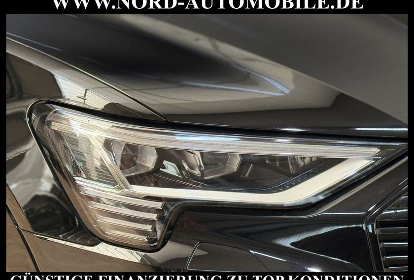 Audi e-tron e-tron 50 QU.Advanced S-Line Matrix/Kamera/21/