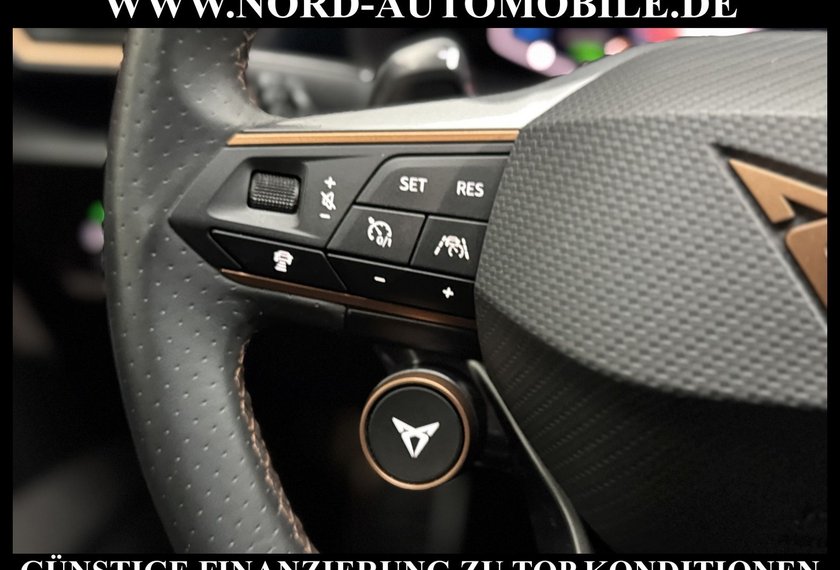 Cupra Formentor Formentor VZ 1.4 TSI e-HYBRID DSG Leder/AHK/19