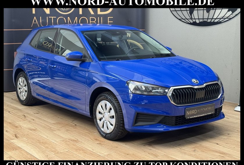 Skoda Fabia Fabia Active 1.0 MPI LED/Klima/Spurhalte
