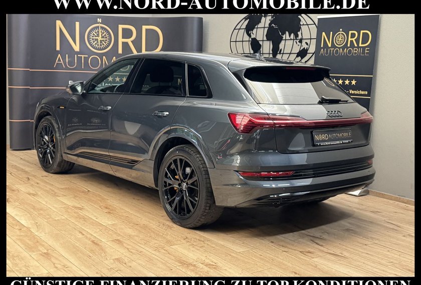 Audi e-tron e-tron 50 QU.S-Line Teilleder/Kamera/Navi/21