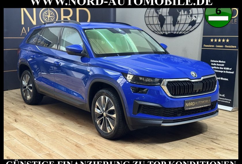 Skoda Kodiaq Kodiaq Ambition Tour 2.0 TDI DSG Matrix/Virt.Coc