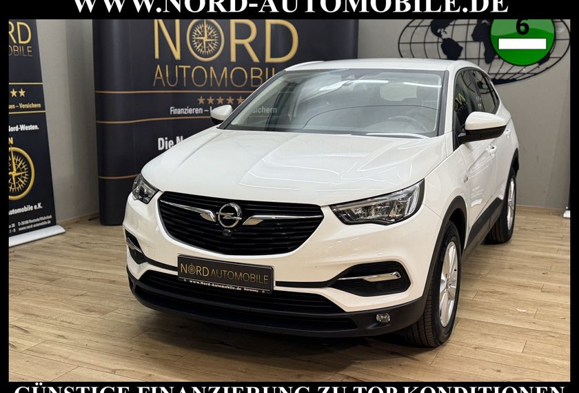 Opel Grandland (X) Grandland X 1.5 D Business *LED*AHK*360°*NAVI* B