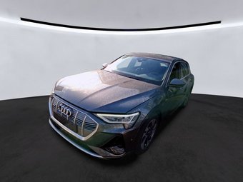 Audi e-tron e-tron 55 QU. S-Line Kamera/Navi/LED/SHZ/20