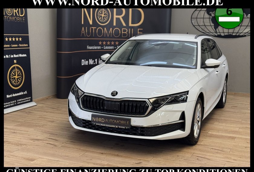 Skoda Octavia Octavia Combi eTSI DSG SELECTION LODGE*STHZ*AHK*