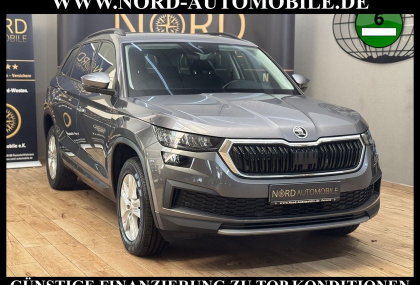 Skoda Kodiaq Kodiaq Ambition 2.0 TDI DSG Kamera/Navi/LED