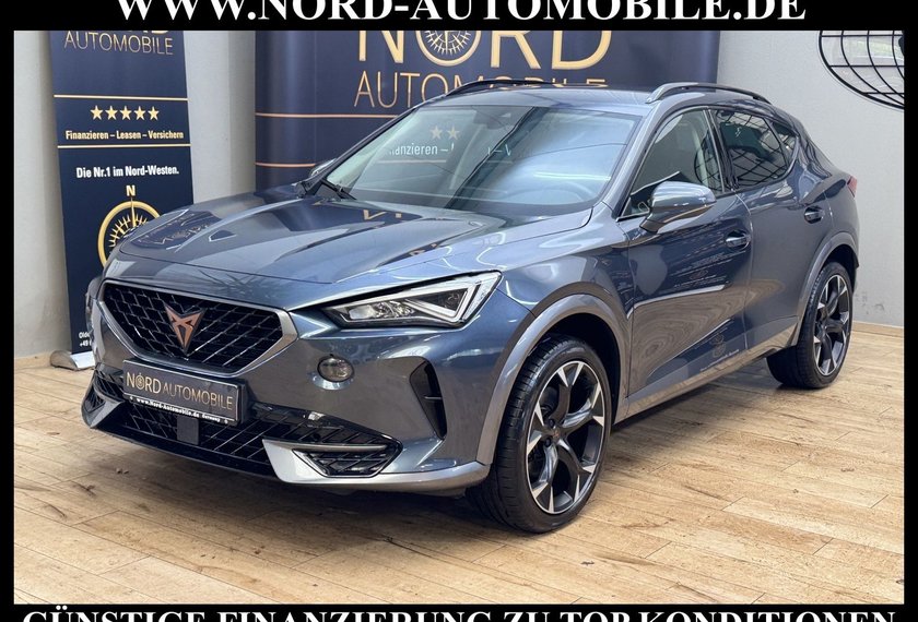 Cupra Formentor Formentor 2.0 TSI DSG Kamera/Beats/19/Navi