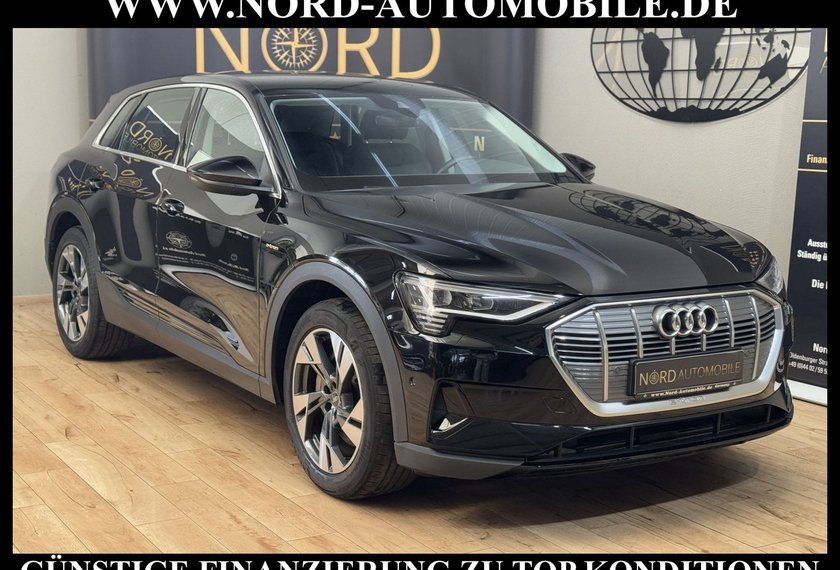 Audi e-tron e-tron 50 QU. Teilleder/Kamera/Navi/LED/20