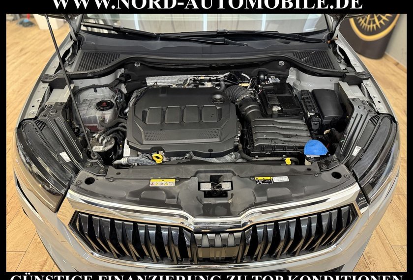 Skoda Karoq Karoq Style 2.0 TDI DSG Virt.Cockpit/AHK/Navi/18