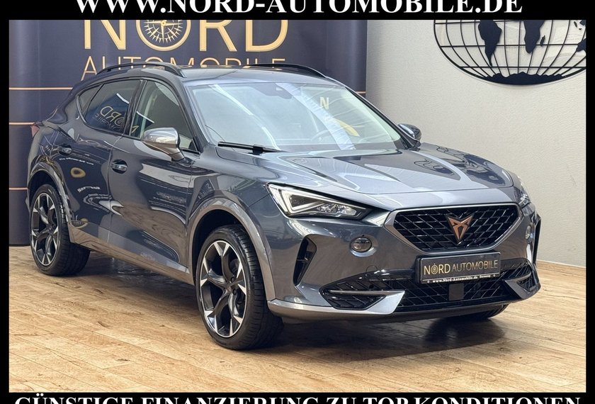 Cupra Formentor Formentor 2.0 TSI DSG Kamera/Beats/19/Navi