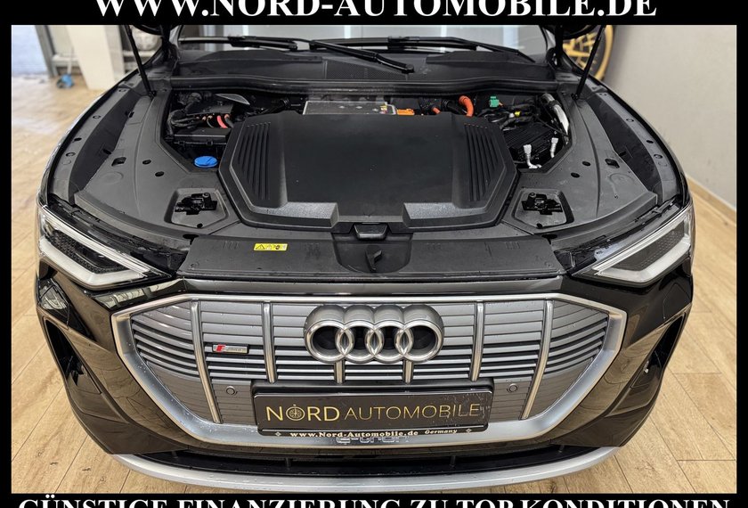 Audi e-tron e-tron 50 QU.S-Line B&amp;O/21/Navi/Teilleder/LED