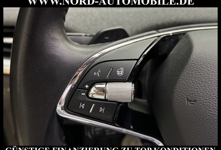 Skoda Enyaq Enyaq iV 80 Loft Kamera/Navi/LED/19/SHZ