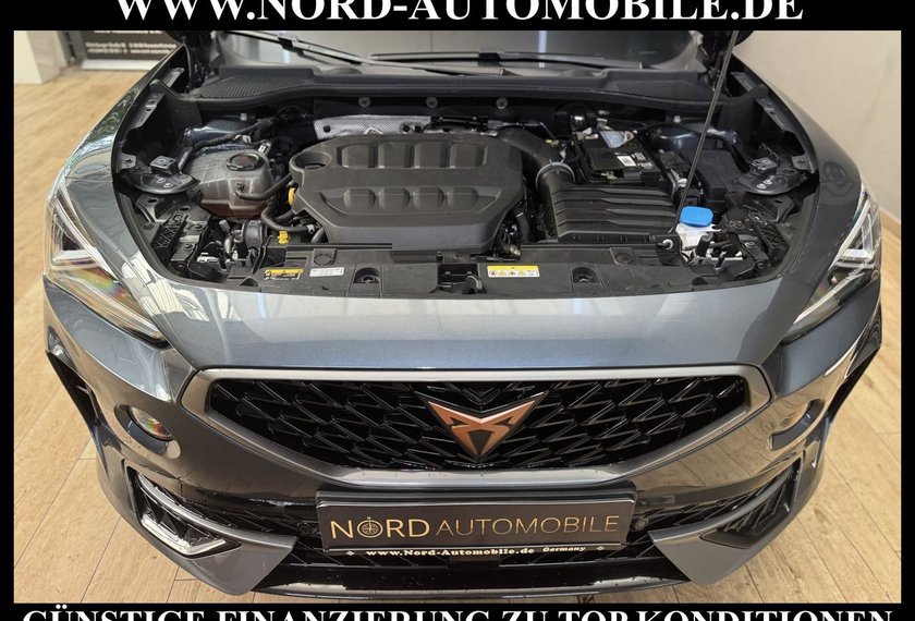Cupra Formentor Formentor VZ 2.0 TSI DSG Matrix/Kamera/Beats/19