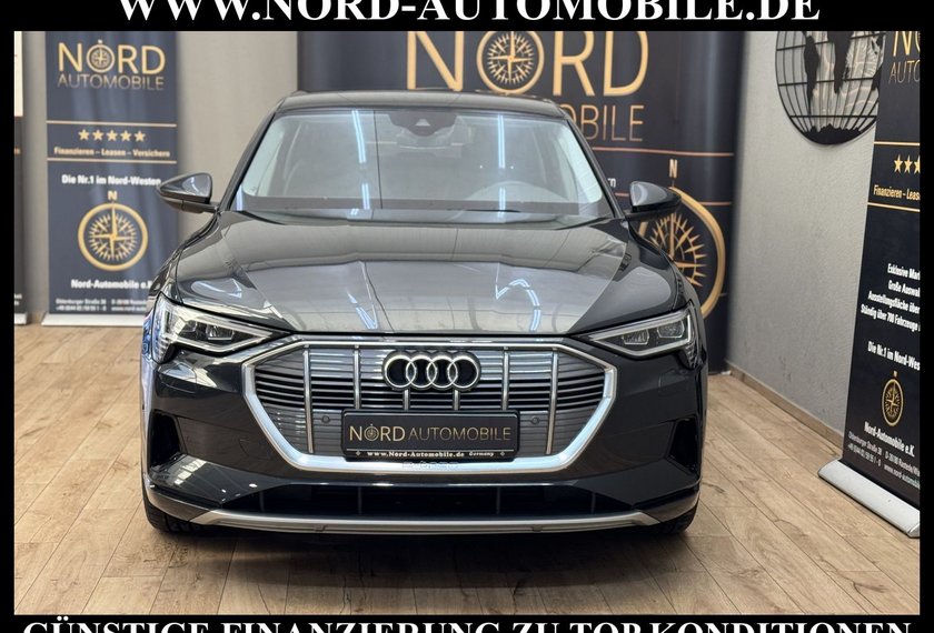 Audi e-tron e-tron 55 QU.Advanced Automatik Kamera/Navi/LED