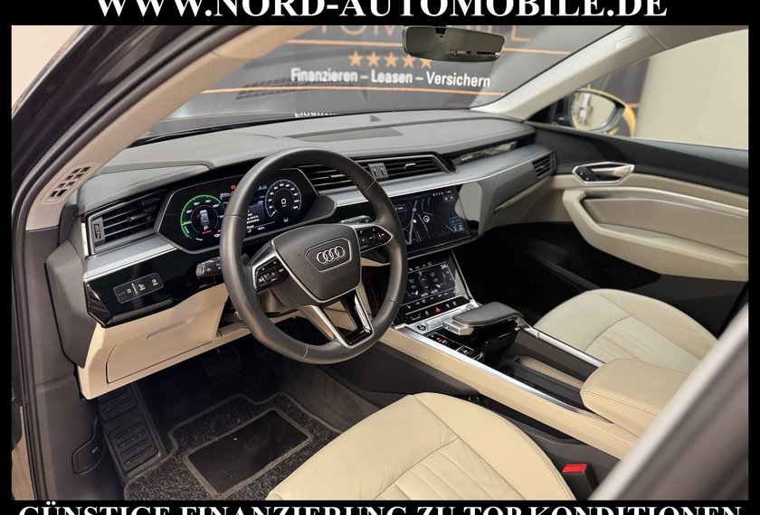 Audi e-tron e-tron 50 QU.Leder/Kamera/AHK/Panorama/21