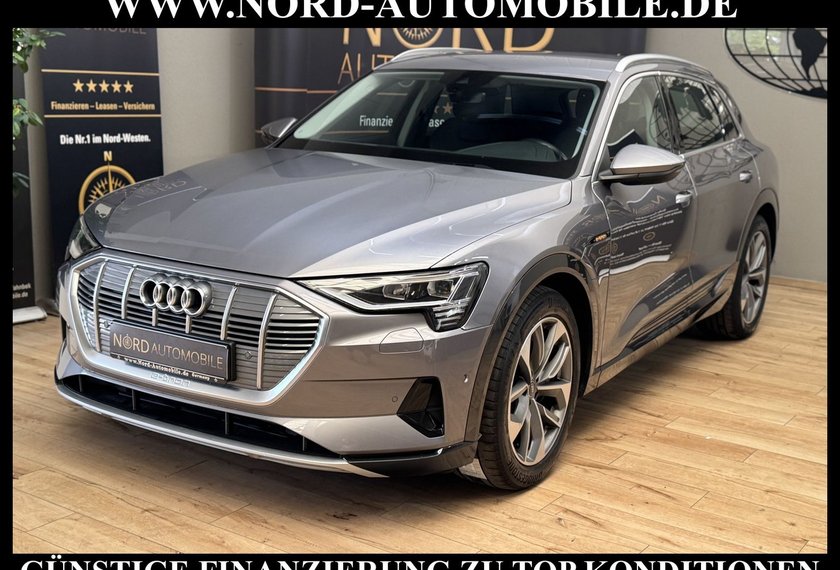 Audi e-tron e-tron 50 QU.Advanced Leder/AHK/Kamera/Matrix