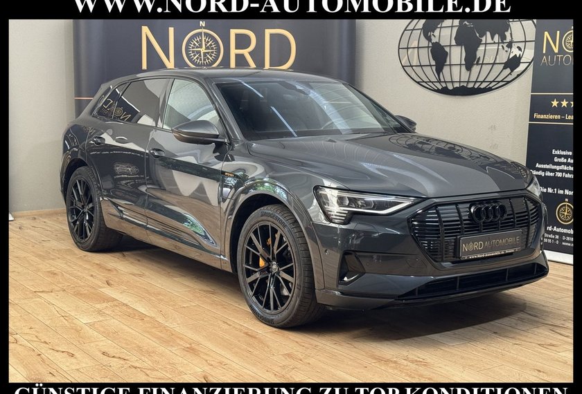 Audi e-tron e-tron 50 QU.S-Line Teilleder/Kamera/Navi/21