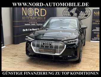 Audi e-tron e-tron 55 QU. Teilleder/AHK/Kamera/20/