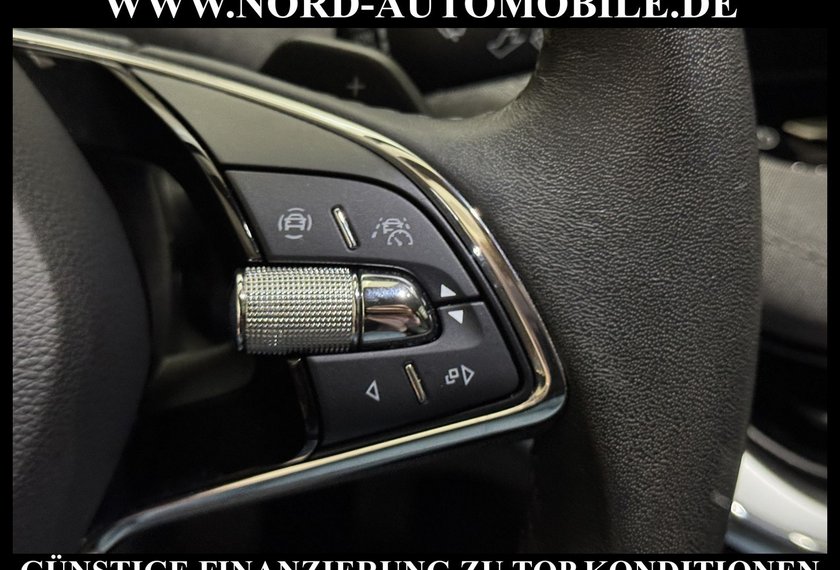 Skoda Enyaq Enyaq iV 80 Loft AHK/Teilleder/Navi/LED/Kamera