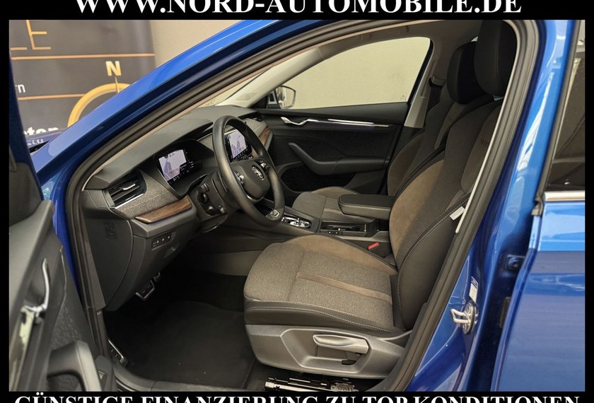 Skoda Octavia Octavia Scout Combi 2.0TDI DSG AHK/Kamera/HeadUp