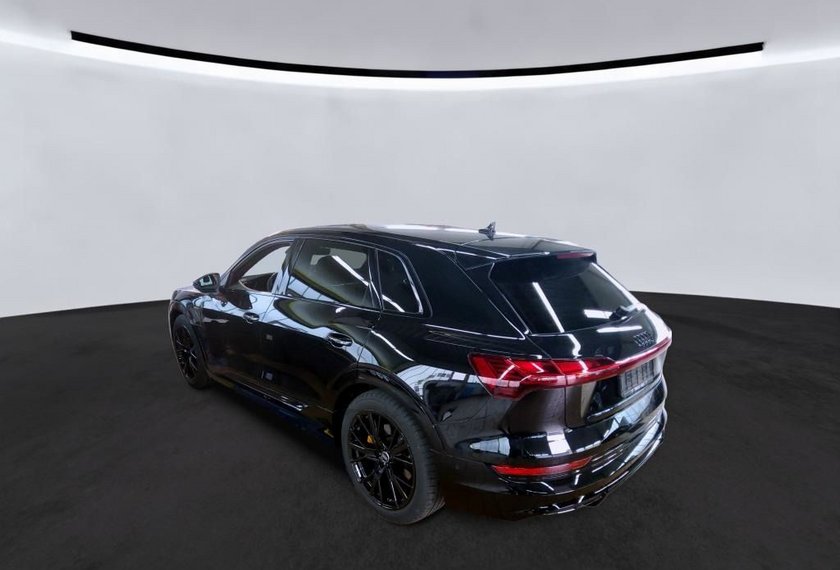 Audi e-tron e-tron 50 QU.S-Line Black Edition Kamera/Matrix/